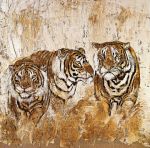 Tigres 1 + Tigres 1 +