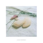 Sea Glass  +