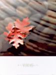 Leaves in Stream + Leaves in Stream +
