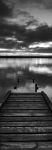 K�ADKA