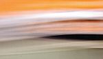 NEWSPAPER NEWSPAPER