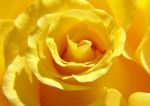 fototapeta �ӣTA RӯA