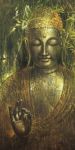 BUDDA
