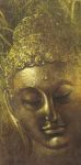BUDDA BUDDA