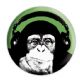STEEZ�monkee