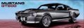 FORD SHELBY mustang gt500 sky