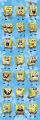 SPONGEBOB expressions