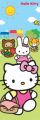 Hello Kitty Picnic