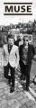 MUSE�band