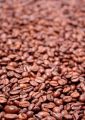 Fried coffee grain - fototapeta