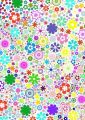 flower - fototapeta