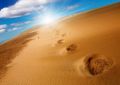 Footprints on sand dune - fototapeta