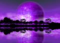Rising of The Moon - fototapeta Rising of The Moon - fototapeta