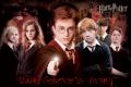 HARRY POTTER army