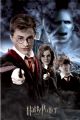 HARRY POTTER collage
