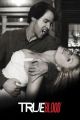 TRUE BLOOD TRUE BLOOD