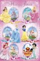 DISNEY PRINCESS�castles