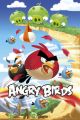 ANGRY BIRDS attack