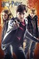 HARRY POTTER trio