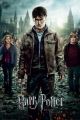 HARRY POTTER 7 part 2 one sheet