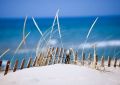 lake sand dunes - fototapeta