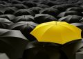yellow umbrella - fototapeta