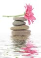 zen - spa stones with flowers - fototapeta