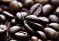 coffe bean - fototapeta