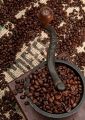 Coffee Beans and Grinder - fototapeta