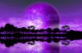Rising of The Moon - fototapeta Rising of The Moon - fototapeta