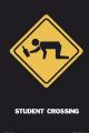 STUDENT CROSSING