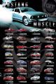 FORD Mustang muscle