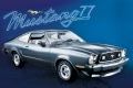 Ford Mustang 77