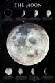 THE MOON