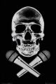 STEEZ skull