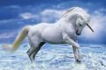 UNICORN�