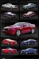 FORD SHELBY mustang evolution