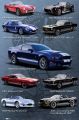FORD SHELBY mustang compilation