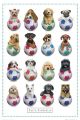 KIMBERLIN football dogs