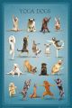 YOGA DOGS Poses YOGA DOGS Poses