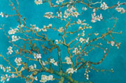 Van Gogh - Migda�owy Kwiat - plakat