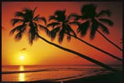 Beach evening