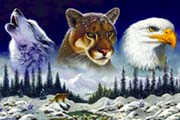 American Wildlife