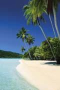 Bounty Beach Bounty Beach