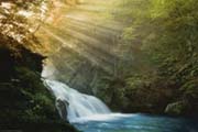 Woodland Waterfall Woodland Waterfall