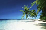 Beach - relax