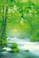 Towada River