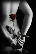 Secret Rose Secret Rose