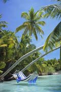 Hammock tropical beach Hammock tropical beach