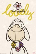 Nici jolly mah
